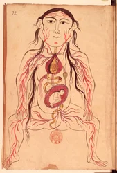 Ms Persan 151 Fol.32 Egy nő és magzata anatómiai diagramja